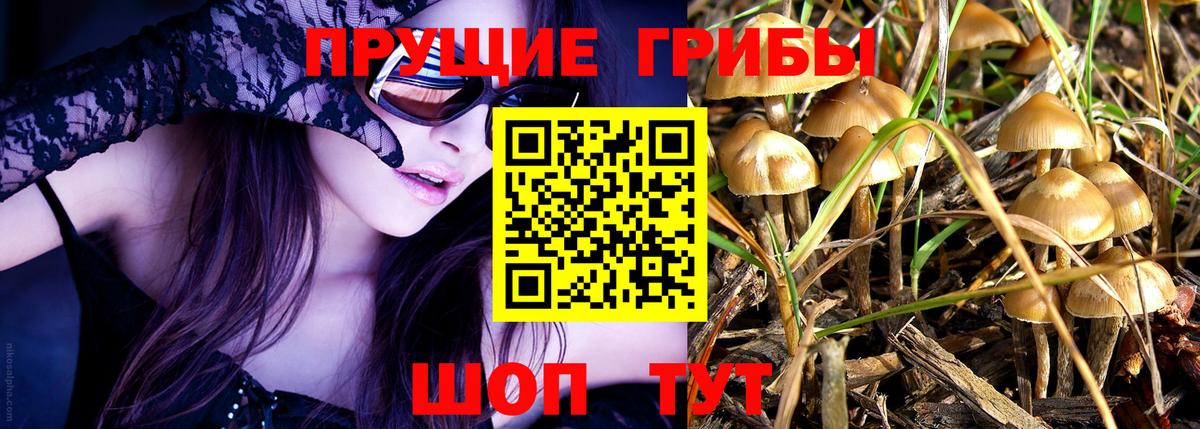 Галлюциногенные грибы Cubensis Мончегорск