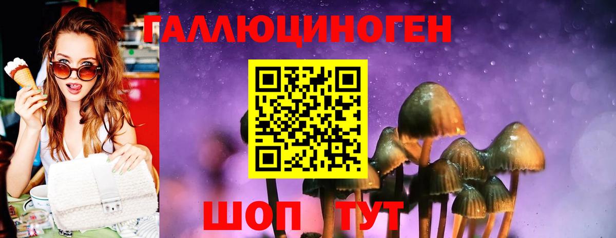 Галлюциногенные грибы GOLDEN TEACHER  Вход с VPN  Псилоцибиновые грибы Psilocybe  Мончегорск 